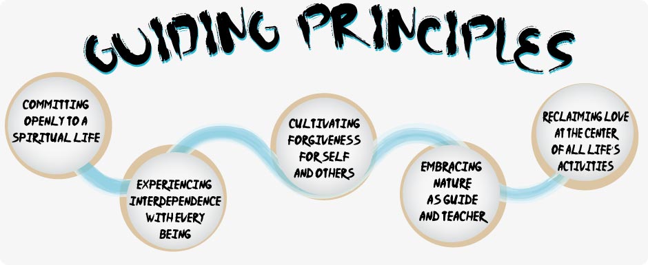 Guiding Principles